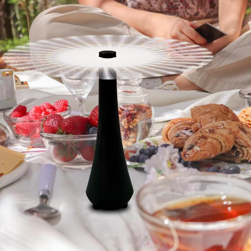 Ensemble de 2 ventilateurs de moustiquaire de table portable