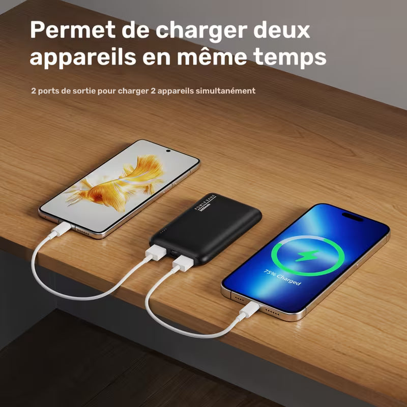 Batterie externe portable ultra-mince 5000mAh avec double sortie USB