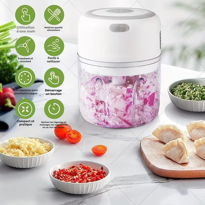 FLZH Hachoir Électrique (250 ml), 3 Lames pour Hacher, Broyer, Émincer, Fouetter, 30W, Appareil à Émincer, Dispositif de Broyage, Design Compact, Performance Efficace, Appareil à Fouetter, Mini Préparateur Alimentaire
