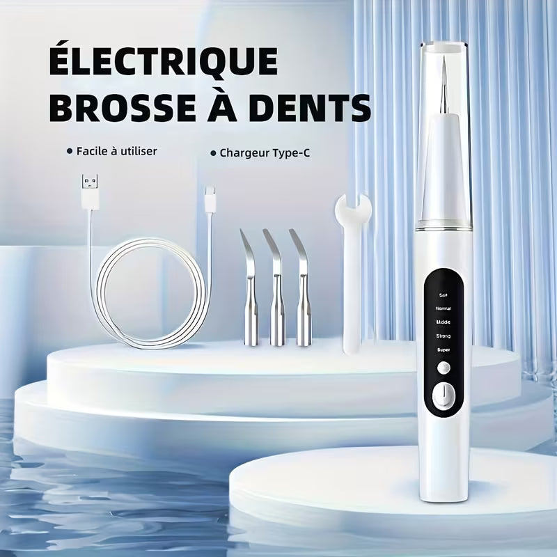 Kit de Détartrage ProClean - Fil Dentaire Électrique avec Lumière LED Réglable à 5 Niveaux, 4 Têtes Remplaçables et Extraction Avancée du Calcul Dental pour une Santé Bucco-Dentaire Améliorée et un Souffle Frais