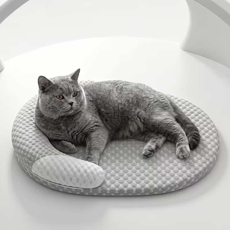 Lit rafraîchissant d'été pour chat, panier respirant pour chien avec oreiller surélevé pour le cou, tapis rond rafraîchissant antidérapant et lavable pour chats et petits chiens
